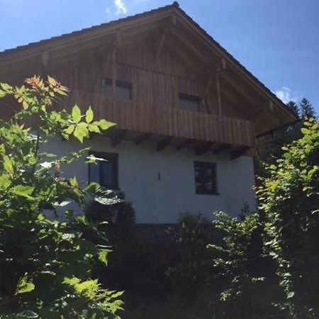 Schweizer Haeusl Apartment Bayerisch Eisenstein Luaran gambar
